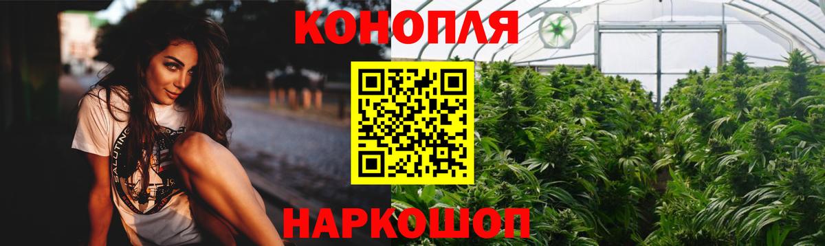 Шишки марихуана тримм  Шишки марихуана SATIVA & INDICA  Тамбов  Бошки марихуана OG Kush  Вход с VPN 